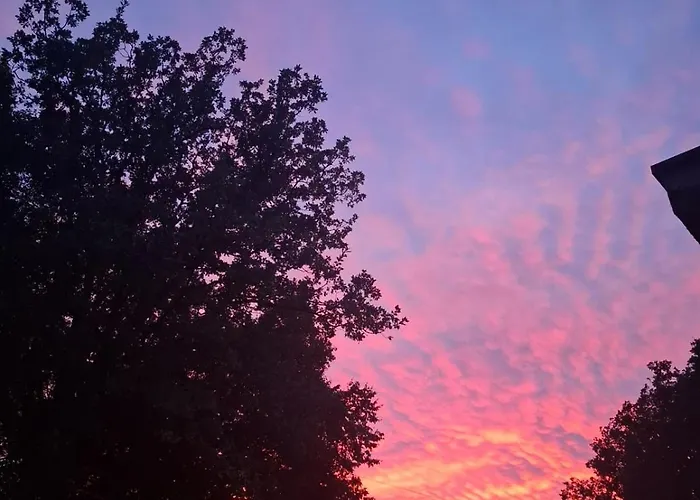 Amalia Široki Brijeg